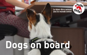VIER PFOTEN - Stiftung für Tierschutz: Journée mondiale du chien : QUATRE PATTES encourage les entreprises à accueillir les chiens de leurs collaborateurs