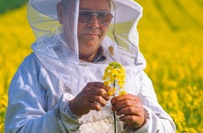 UFOP e.V.: World Bee Day 2020: Bienennektar Rapsfeld