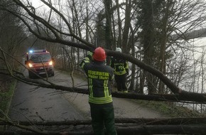 Feuerwehr Wetter (Ruhr): FW-EN: Wetter - Kraftstoffgeruch und umgestürzter Baum