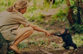 National Geographic Channel: National Geographic zeigt mit "Jane" bisher unveröffentlichtes Filmmaterial aus dem Leben der berühmten Primatenforscherin