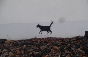 Polizeipräsidium Westpfalz: POL-PPWP: Katzensprayer in Kaiserslautern