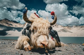 Eberhardt TRAVEL GmbH: Mit Eberhardt TRAVEL nach Xinjiang: 18 Tage Natur & Kultur im Wilden Westen Chinas