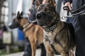 Bundespolizeiinspektion Bremen: BPOL-HB: Nicht nur Polizeihunde beweisen guten Spürsinn