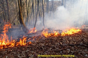 FW-PL: OT-Lettmecke. FOLGEMELDUNG. Rund 2000 Quadratmeter Waldboden gerieten in Steilhang in Brand.