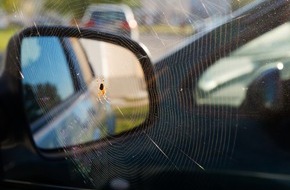 ADAC Hessen-Th&uuml;ringen e.V.: Wenn&rsquo;s pl&ouml;tzlich krabbelt / Spinne, Biene & Co. im Auto