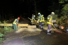 Kreisfeuerwehrverband Lüchow-Dannenberg e.V.: FW Lüchow-Dannenberg: +++stürmische Nacht in Lüchow-Dannenberg +++ Feuerwehren rücken zu insgesamt sieben Einsätzen aus +++ Schwerpunkt in der Samtgemeinde Elbtalaue +++