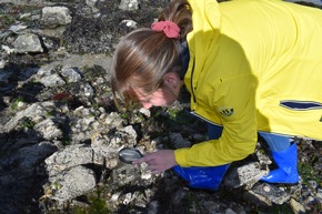 Naturschauspiel Springtiden hautnah: Winterurlaub in der Bretagne