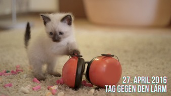 BG ETEM - Berufsgenossenschaft Energie Textil Elektro Medienerzeugnisse: Katzenvideo wirbt für Lärmschutz / Tag gegen Lärm am 27. April 2016