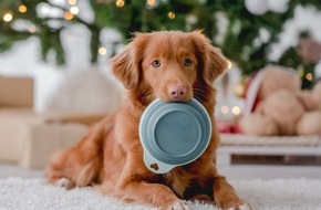 Zentralverband Zoologischer Fachbetriebe Deutschlands e.V. (ZZF): Weihnachten mit Heimtieren: Diese Lebensmittel sind tabu