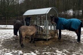 Polizei Dortmund: POL-DO: Tierische Gefahrenstellle auf der A 45: Polizei rettet drei Pferde von der Autobahn