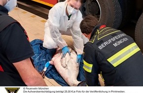 Feuerwehr München: FW-M: Feuerwache wird kurzerhand zur Tierklinik (Olympiapark/ Schwanthalerhöhe)