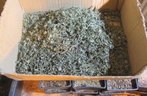 Polizeidirektion Göttingen: POL-GOE: (34/2014) Indoor-Hanfplantage in Göttingen - Polizei beschlagnahmt rund 630 Pflanzen und 5,6 Kilogramm Marihuana