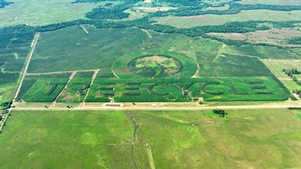 Global TREE Project AG: In Paraguay wächst das größte Naturlogo der Welt / Treecycle setzt Guinness-Weltrekord