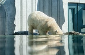 TÜV-Verband e. V.: VdTÜV-Presseinfo: TÜV-Verband zu den neuen Klimazielen der EU-Kommission