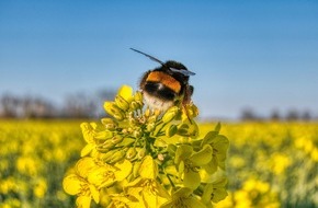 Global Nature Fund: Einladung zur Fachkonferenz „Biodiversität im Lebensmittelsektor“