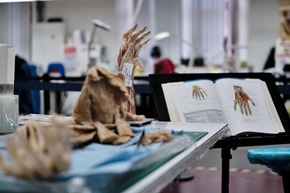 30 Years of BODY WORLDS / A Success Story That Has Changed the Way We See Ourselves
