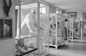 Naturmuseum Solothurn: Neue Sonderausstellung "TIERISCH ALT - 200 Jahre Naturmuseum Solothurn"