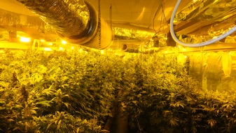Polizeidirektion Kiel: POL-KI: 181121.1 Kronshagen: Kriminalpolizei stellt rund 2.000 Marihuana-Pflanzen sicher