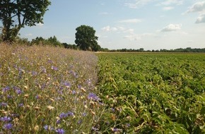 Global Nature Fund: Biodiversität braucht Politikwechsel: 25 Organisationen fordern faire Rahmenbedingungen für Landwirtschaft und Natur