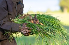 Wildtierschutz Deutschland e.V.: Rehkitz-Rettung: Wildtierschutz Deutschland ver&ouml;ffentlicht bundesweites Verzeichnis mit Drohnenteams