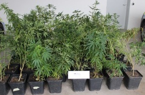 Polizeipräsidium Offenburg: POL-OG: Mühlenbach - Cannabispflanzen beschlagnahmt