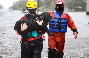 IFAW - International Fund for Animal Welfare: Neuer Report: IFAW fordert Tiere in Katastrophenschutzpläne einzubeziehen