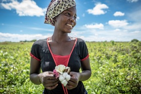 Cotton made in Africa Partners Receive Top Marks in Independent Verifications