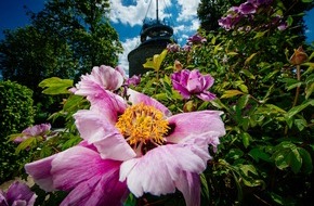 Erfurter Garten- und Ausstellungs gemeinnützige GmbH: Kurzurlaub im egapark: Blütenpracht von 250 Pfingstrosensorten und 4000 Rosen/Ein Hauch Italien verbreiten 50 Sorten Basilikum