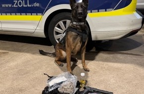 Hauptzollamt Bielefeld: HZA-BI: Kokain in Kissen versteckt/Zollh&uuml;ndin "Skadi" enttarnt Schmuggelversuch auf A2 bei Bielefeld