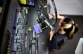 linexo by WERTGARANTIE: Viele Sch&auml;den, wenig Schutz: Studie zeigt Nachholbedarf f&uuml;rs Fahrrad