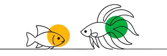 Zentralverband Zoologischer Fachbetriebe Deutschlands e.V. (ZZF): ZZF informiert zum Welttierschutztag am 4. Oktober über Qualzuchten