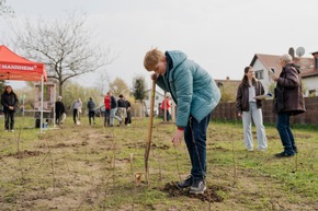 BAUHAUS pflanzt Waldinsel in Mannheim-Sch&ouml;nau