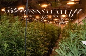 Polizei Wuppertal: POL-W: W Cannabis-Plantage in Unterbarmen - ein Tatverdächtiger festgenommen - Gemeinsame Presseerklärung von Staatsanwaltschaft und Polizei Wuppertal