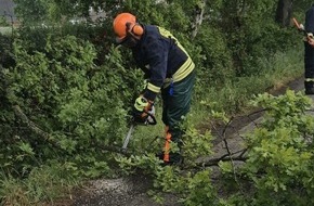 Freiwillige Feuerwehr Aurich: FW-AUR: Größerer Ast droht auf Fahrbahn zu stürzen