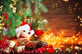 Zentralverband Zoologischer Fachbetriebe Deutschlands e.V. (ZZF): Heimtiere nicht als Überraschung zu Weihnachten verschenken!