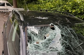 Feuerwehr Detmold: FW-DT: Baum auf Fahrbahn - Windschutzscheibe getroffen