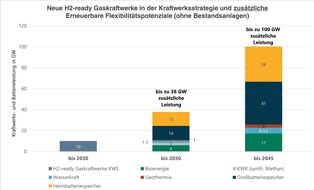 Bundesverband Erneuerbare Energie e.V.: BEE-Positionspapier zur Kraftwerksstrategie