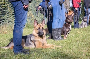 Zürcher Tierschutz: Zürich ohne Hundekurse? Nein, auch den Tieren zuliebe!