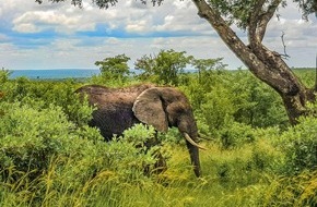 Gebeco GmbH & Co KG: Pressemeldung: Gebeco ver&ouml;ffentlicht neue Afrika Highlights f&uuml;r ein spannendes Reisejahr 2027