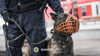 Bundespolizeidirektion München: Bundespolizeidirektion München: Diensthund-Einsatz am Ostbahnhof / Durchsetzung mehrerer Platzverweise sowie eines Haftbefehls