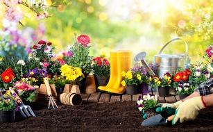 goodRanking Online Marketing Agentur: Der Garten im Sommer: Diese Pflegemaßnahmen stehen jetzt im Hausgarten an