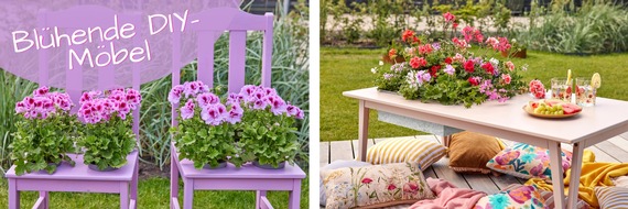 Pelargonium for Europe: Außenbereiche kreativ und individuell gestalten: Blühende DIY-Möbel mit Geranien