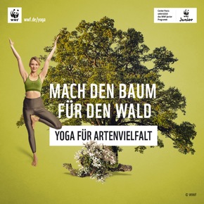Frühsommer bei Center Parcs: Neue Erlebnisse und Highlights