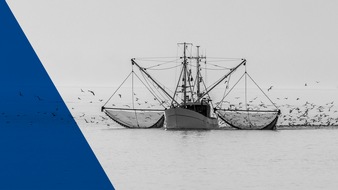 ARD Audiothek: ARD radiofeature / Kampf an der Nordsee – Doku über den Konflikt zwischen Fischern und Meeresschützern