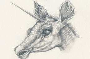 Naturmuseum Solothurn: Anlässe im Naturmuseum SO im Monat November