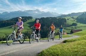 Touring Club Schweiz/Suisse/Svizzero - TCS: Schnelle E-Bikes im europäischen Ausland nur mit Motorradhelm