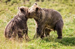 VIER PFOTEN - Stiftung für Tierschutz: Retrouvailles à Arosa Terre des Ours