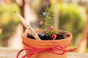 Sprout World: Zero Waste Weihnachten / Schreiben, Schminken, Schenken: Sprout-Stifte zu Advent, Nikolaus und Weihnachten