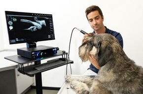 AniCura Deutschland GmbH: AniCura Tierärztliche Spezialisten Hamburg setzt auf innovative Augenheilkunde: Neues Sonographie-Gerät verbessert Diagnostik und Therapie