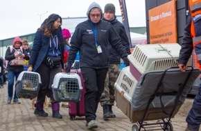 IFAW Deutschland: Neue Studie:  Das Leiden der Tiere im Krieg